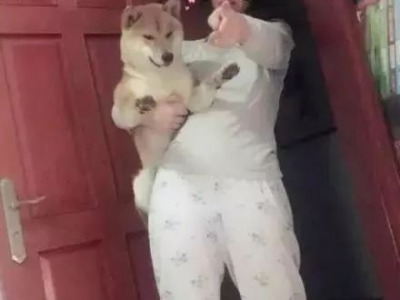 鎷沘i,揭开千年古韵的神秘面纱