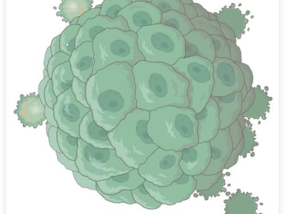 ai画细胞,细胞结构与功能的数字化解析